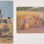 4 db RÉGI folklór motívum képeslap: aratás / 4 pre-1945 folklore motive postcards: harvesting - Image 2