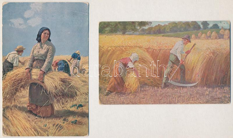 4 db RÉGI folklór motívum képeslap: aratás / 4 pre-1945 folklore motive postcards: harvesting - Image 2