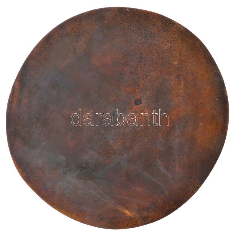 DN 'Női portré' bronz emlékérem (160mm) T:1- - Image 2