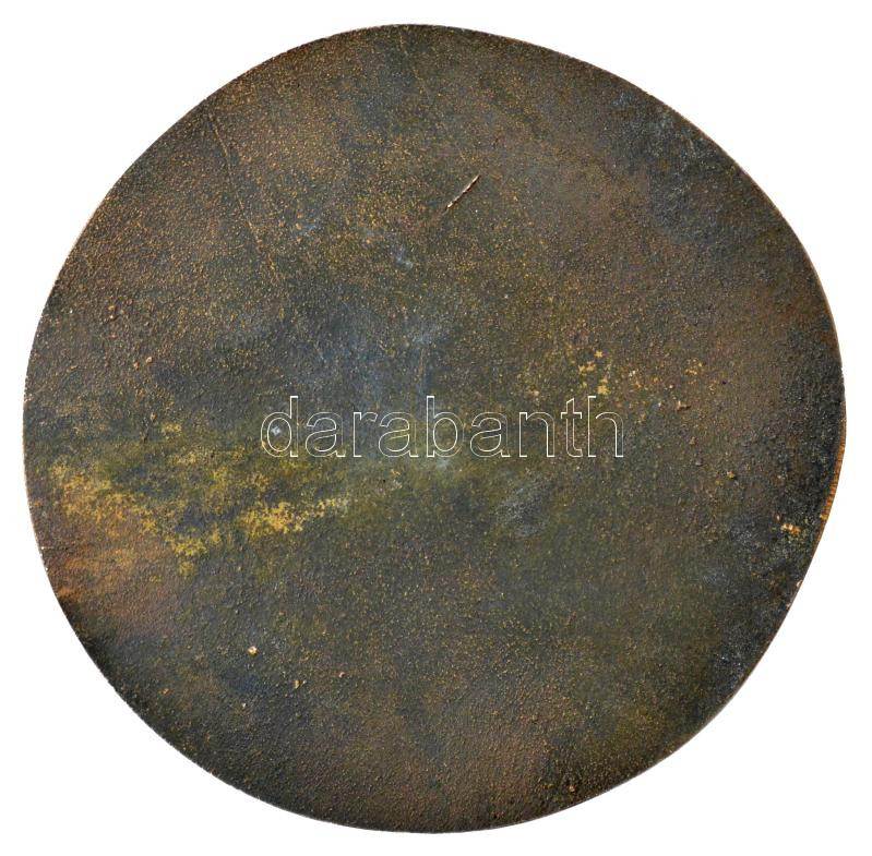 Szombathelyi László (1943-1987) DN 'Rákóczi Ferenc Nob. Hung.' bronz egyoldalas emlékérem (100mm) T:1- - Image 2