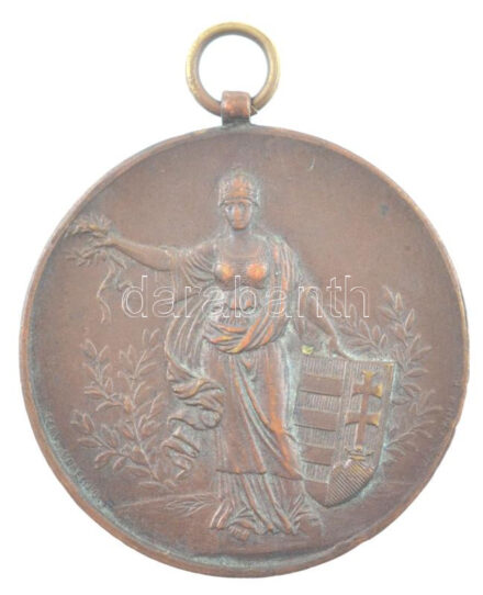 Morelli Gusztáv (1848-1909) / Exner Károly (1850-1919) ~1910-1930. 'Magyar Athletikai Szövetség Versenydíja' jelzett bronz díjérem szalag nélkül, peremen 'Ludvig E. Budapest' beütés (35mm) T:2