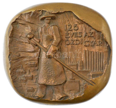 Asszonyi Tamás (1942-) 1970. '125 éves az ózdi gyár' bronz plakett, hátoldalán felszerelő ponttal (130x122mm) T:1-