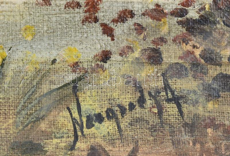 Neogrády A jelzéssel: Táj. Olaj, vászon, sérült. 40x60 cm - Image 2