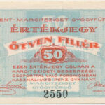 Budapest ~1919-1925. 50f 'Szent-Margitsziget Gyógyfürdő' értékjegy T:II Adamo BUC-269.1