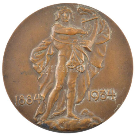 Reményi József (1887-1977) 1934. 'A M. Kir. Operaház 50 éves fennállása emlékére / 1884-1934' kétoldalas bronz emlékérem (70mm) T:1-,2 patina HPII 2249.