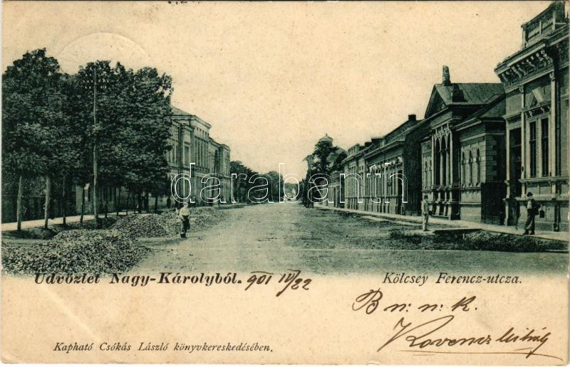 1901 Nagykároly, Carei; Kölcsey Ferenc utca. Kapható Csókás Lászlónál / street (EK)