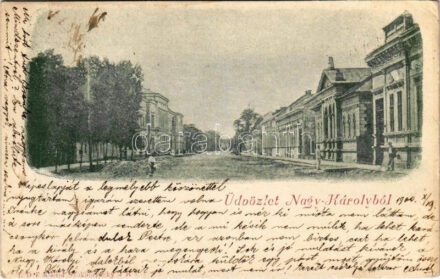 1900 Nagykároly, Carei; Kölcsey Ferenc utca. Szokolovszky kiadása / street (EK)