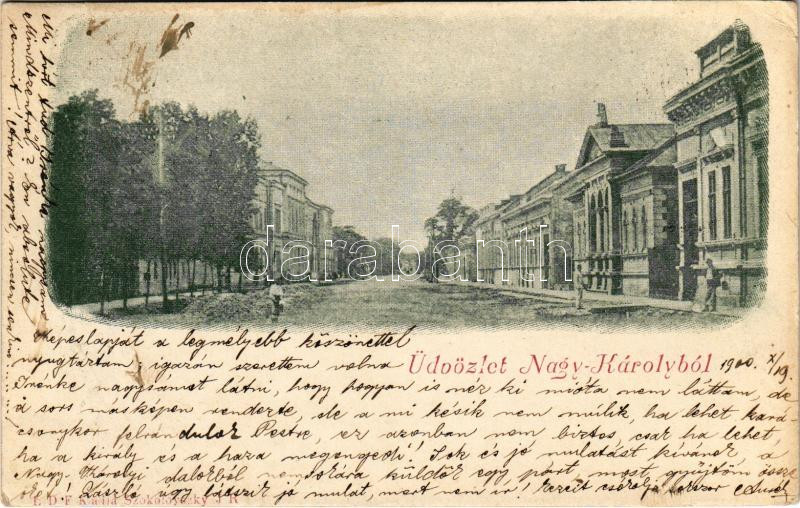 1900 Nagykároly, Carei; Kölcsey Ferenc utca. Szokolovszky kiadása / street (EK)
