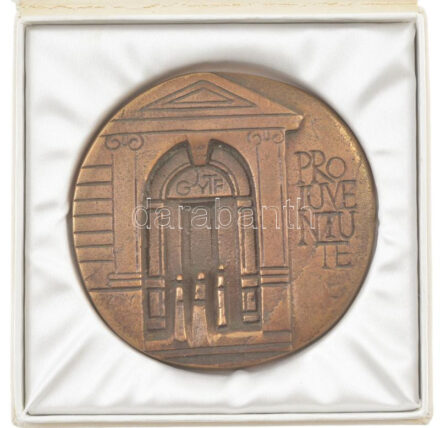 1994. 'Pro Iuventute (Az ifjúságért)' öntött bronz emlékérem eredeti tokban, hátoldalán 'Dr. Gyetvai György JGYTF (Juhász Gyula Tanárképző Főiskola) 1994' gravírozással, eredeti díszdobozban (~90mm) T:1-