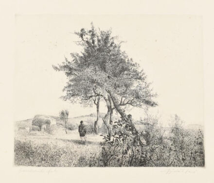 Dudás Jenő (1902-1991): Összeboruló fák. Rézkarc, papír, jelzett, kartonra kasírozva, 22×28 cm