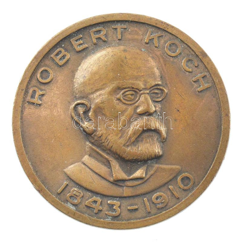 'Robert Koch 1843-1910 / Tubercle bacilus elszigetelése' kétoldalas bronz emlékérem (30mm) T:1- 'Robert Koch 1843-1910 / Tubercle bacillus isolated' two-sided bronze commemorative medallion (30mm) C:AU
