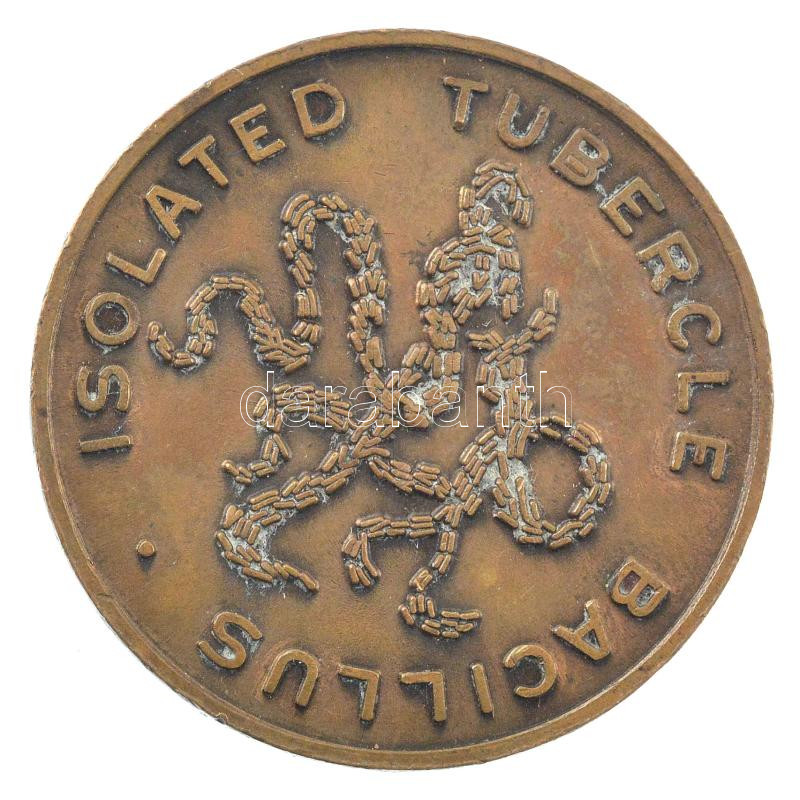 'Robert Koch 1843-1910 / Tubercle bacilus elszigetelése' kétoldalas bronz emlékérem (30mm) T:1- 'Robert Koch 1843-1910 / Tubercle bacillus isolated' two-sided bronze commemorative medallion (30mm) C:AU - Image 2
