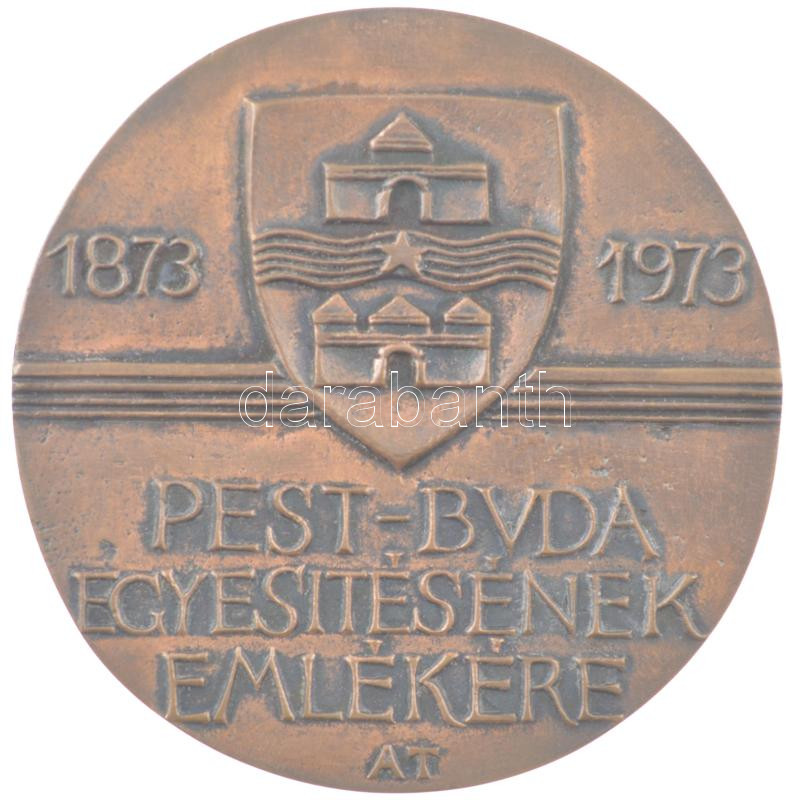 Asszonyi Tamás (1942-) 1973. 'Budapest MDCCCLXXIII / 1873-1973 Pest-Buda egyesítésének emlékére' kétoldalas öntött bronz emlékérem eredeti tokban (86mm) T:1 - Image 2