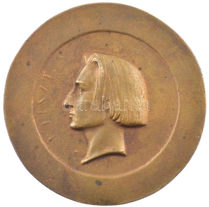 DN 'Liszt Ferenc portréja' egyoldalas bronz emlékérem (55mm) T:1-