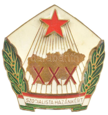 1975. 'Szocialista Hazánkért XXX.' aranyozott, műgyantás Magyar Néphadsereg legénységi jelvény (36x38mm) T:1-