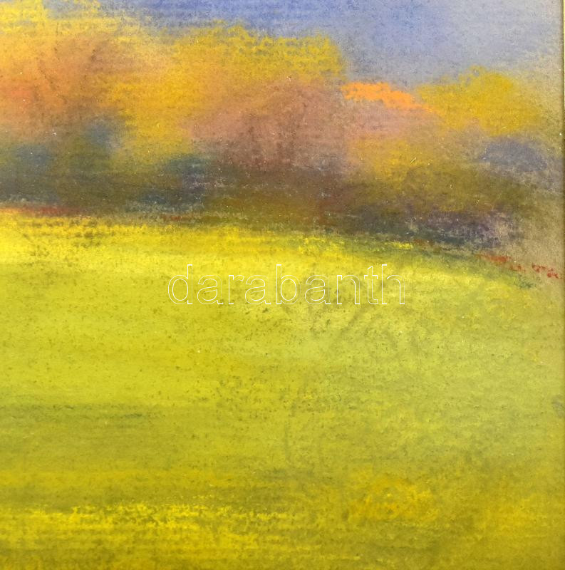 Bertalan Rózsa (1900-1987): Faluszéle. Pasztell, papír, jelzés nélkül. 22x28,5 cm. Dekoratív, üvegezett fakeretben. - Image 2