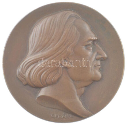 Berán Lajos (1883-1943) 1940. 'Liszt Ferenc / A Nemzeti Zenede centenáriuma emlékére - A Nemzeti Zenede Barátai Egyesület' kétoldalas bronz emlékérem (78mm) T:1