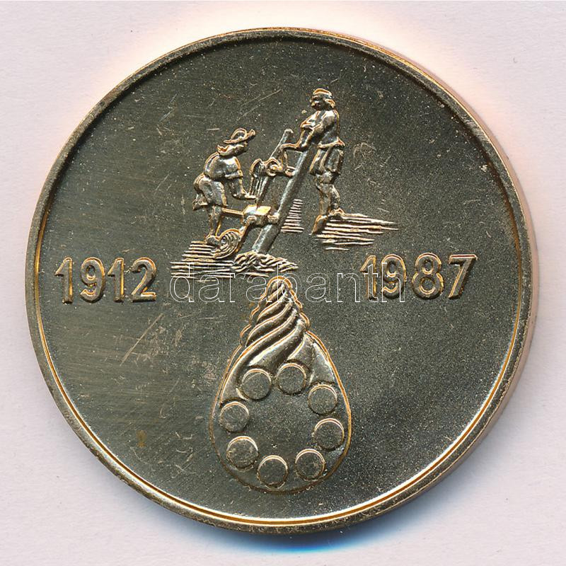 Pócsik István (1933-) 1987. 'A 'December 4' Drótművek 75 éves / 1921-1987' aranyozott fém emlékérem (42,5mm) T:1- - Image 2