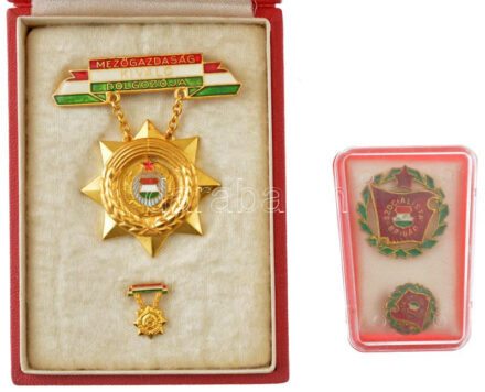 ~1970-1980. 'Mezőgazdaság Kiváló Dolgozója' aranyozott, műgyantás és zománcos jelvény, miniatűrrel, eredeti tokban + ~1970. 'Szocialista Brigád' műgyantás fém jelvény, tokban, miniatűrrelT:1- fo.