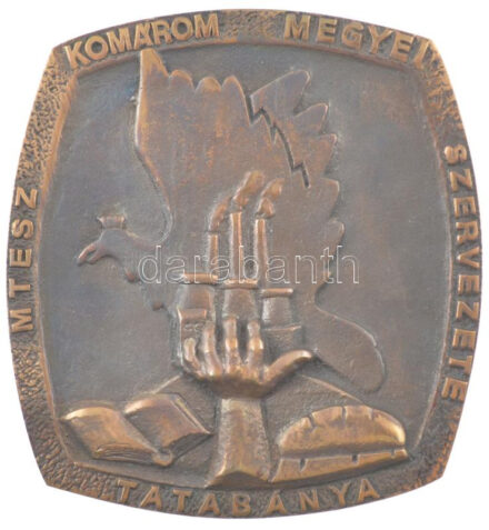 ~1960-1980. 'MTESZ Komárom Megyei Szervezete Tatabánya' egyoldalas bronz emlékplakett (95x90mm) T:1-
