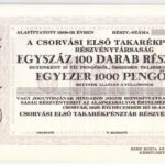 Csorvás 1928. 'Csorvási Első Takarékpénztár Részvénytársaság' 100db részvénye összesen 1000P-ről, 'MINTA', szelvényekkel T:I-