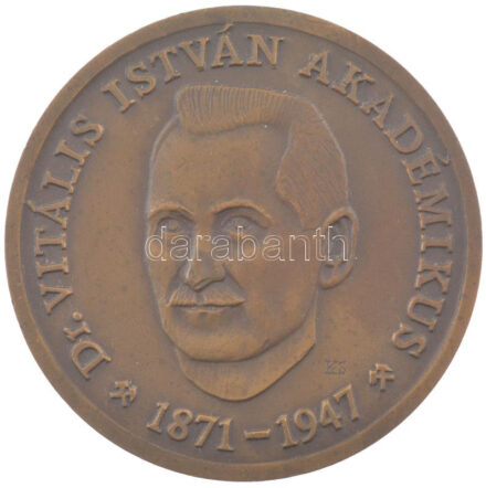 Kiss Sándor (1925-1999) 1981. 'Dr. Vitális István akadémikus 1871-1947 / A hazai ásványkincsek kiváló kutatója, a Nagyegyházi Szénmedence felfedezője 1981' kétoldalas bronz emlékérem (70mm) T:1-