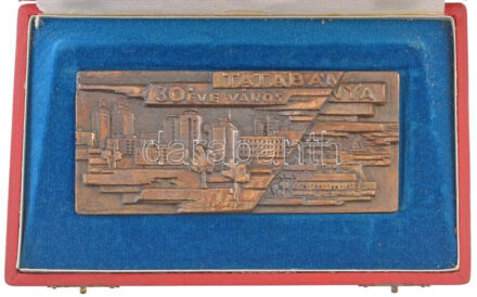 Brém Ferenc (1927-1988) 1977. 'Tatabánya 30 éve város' egyoldalas bronz emlékplakett dísztokban (64x146mm) T:1