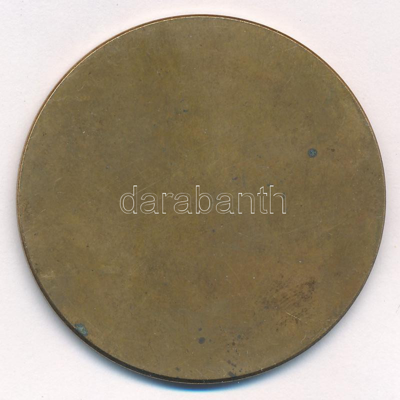 DN 'Országos Vadászati Védegylet - 1881' egyoldalas bronz emlékérem (51mm) T:1,1- - Image 2