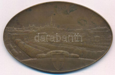 Ausztria 1946 .'Az Osztrák Atlétikai Szövetség nemzetközi női versenye - Ausztria-Magyarország - Bécs 1946. augusztus 11.' kétoldalas, ovális bronz emlékplakett (70x45mm) T:1- ph., patina Austria 1946 .'Österreichischer