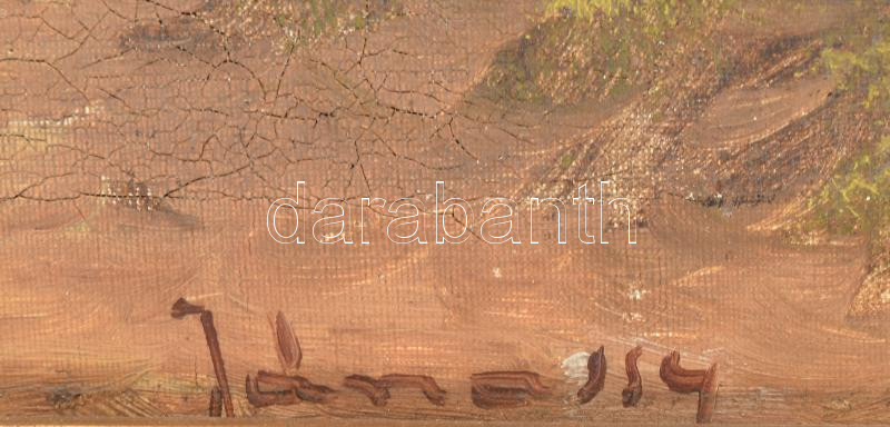 Jánossy jelzéssel: Kacsák. Olaj, vászon. Dekoratív fakeretben. 37x50 cm - Image 2