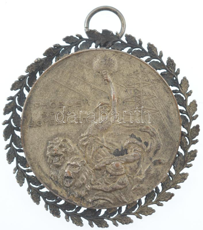 1931. 'Phöbus Sport Egyesület / Phöbus-Goldberger 1931. X. 25.' ezüstözött bronz érem díszítménnyel (47mm) T:2 patina