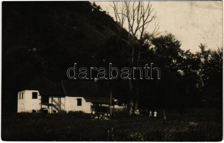 1931 Őraljaboldogfalva, Boldogfalva, Santamarie-Orlea; photo