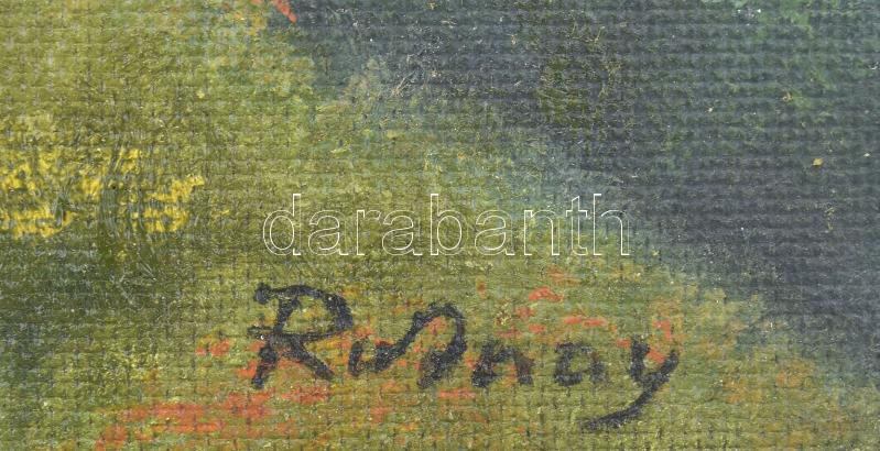 Rudnay jelzésset: Vízparti táj. Olaj, farost. Kissé sérült. 45,5×60,5 cm. - Image 2