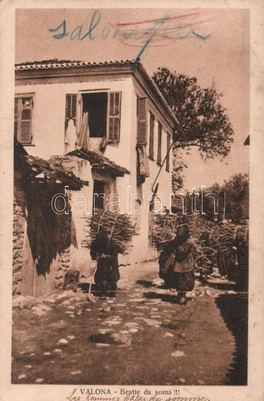 Vlore (Valona) 'Beasts of burden', folklore (EB)