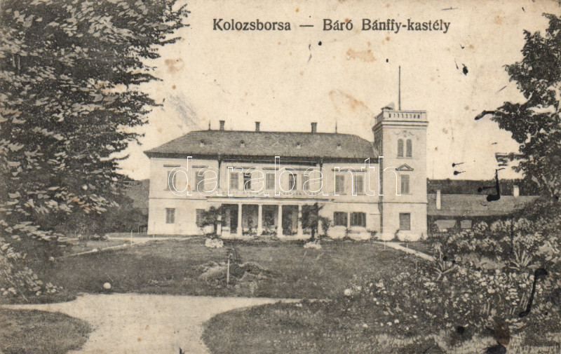 Kolozsborsa, Gróf Bánffy kastély / castle (fl)