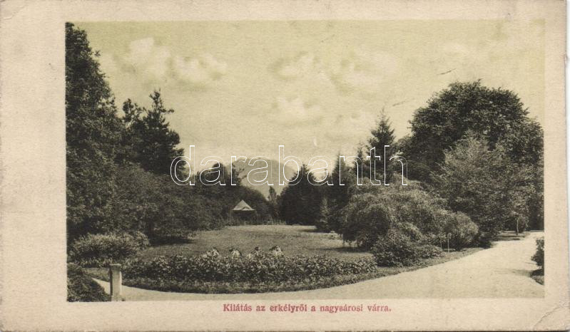 Nagysáros, kilátás a várra / view on the castle, Divald (cut)