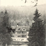 Lublófürdő, Iris-villa; S. A. kiadása