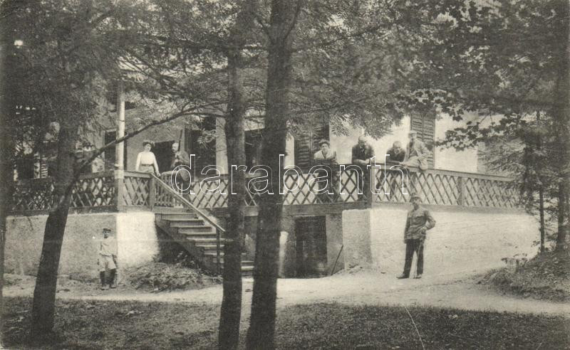 Borszékfürdő, Máté villa / villa (EK)