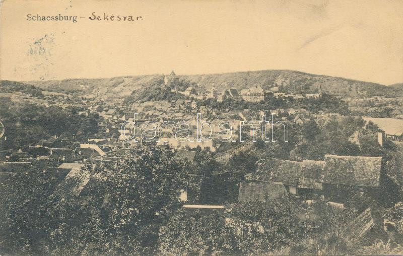 Segesvár (fa)