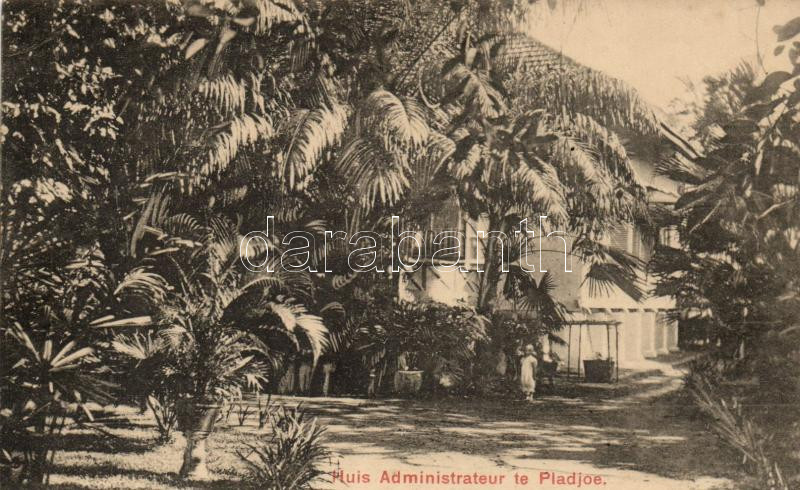 Plaju, Pladjoe; Huis Administrateur / Administrator's house
