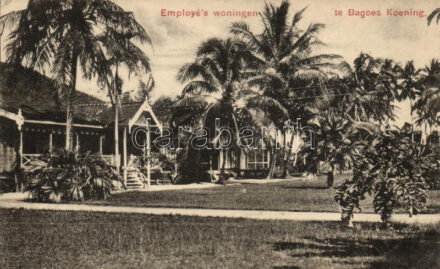 Bagus Kuning, Bagoes Koening; Employé's woningen / Employes homes