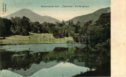 Bandung, Bandoeng; Tjibodas botanical garden