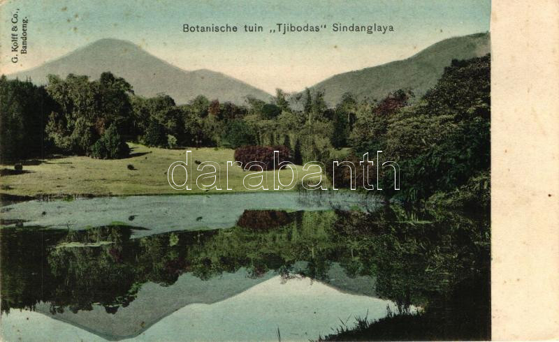 Bandung, Bandoeng; Tjibodas botanical garden