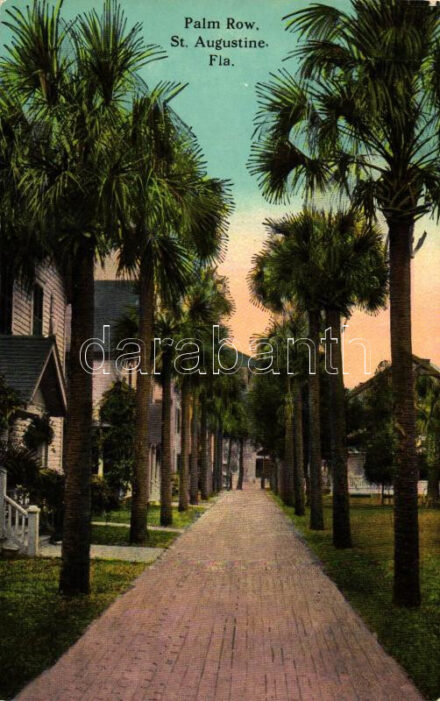 St. Augustine, palm row