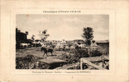 Bistrica, camp (EK)