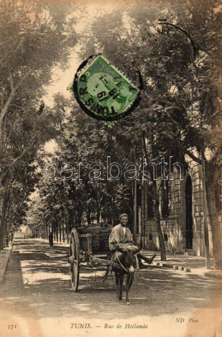 Tunis, Rue de Hollande / street, donkey cart