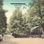 Szászsebes, Mühlbach; Erlenpark / park (EK)