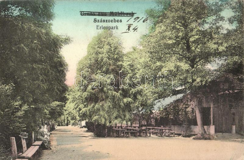 Szászsebes, Mühlbach; Erlenpark / park (EK)