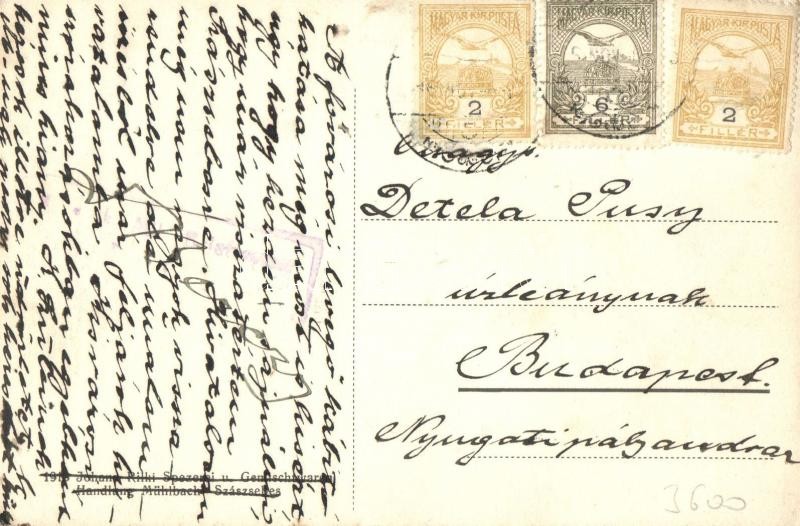 Szászsebes, Mühlbach; Erlenpark / park (EK) - Image 2