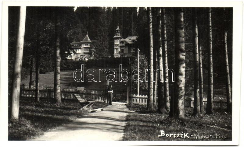 Borszék, Borsec; Marika villa / villa